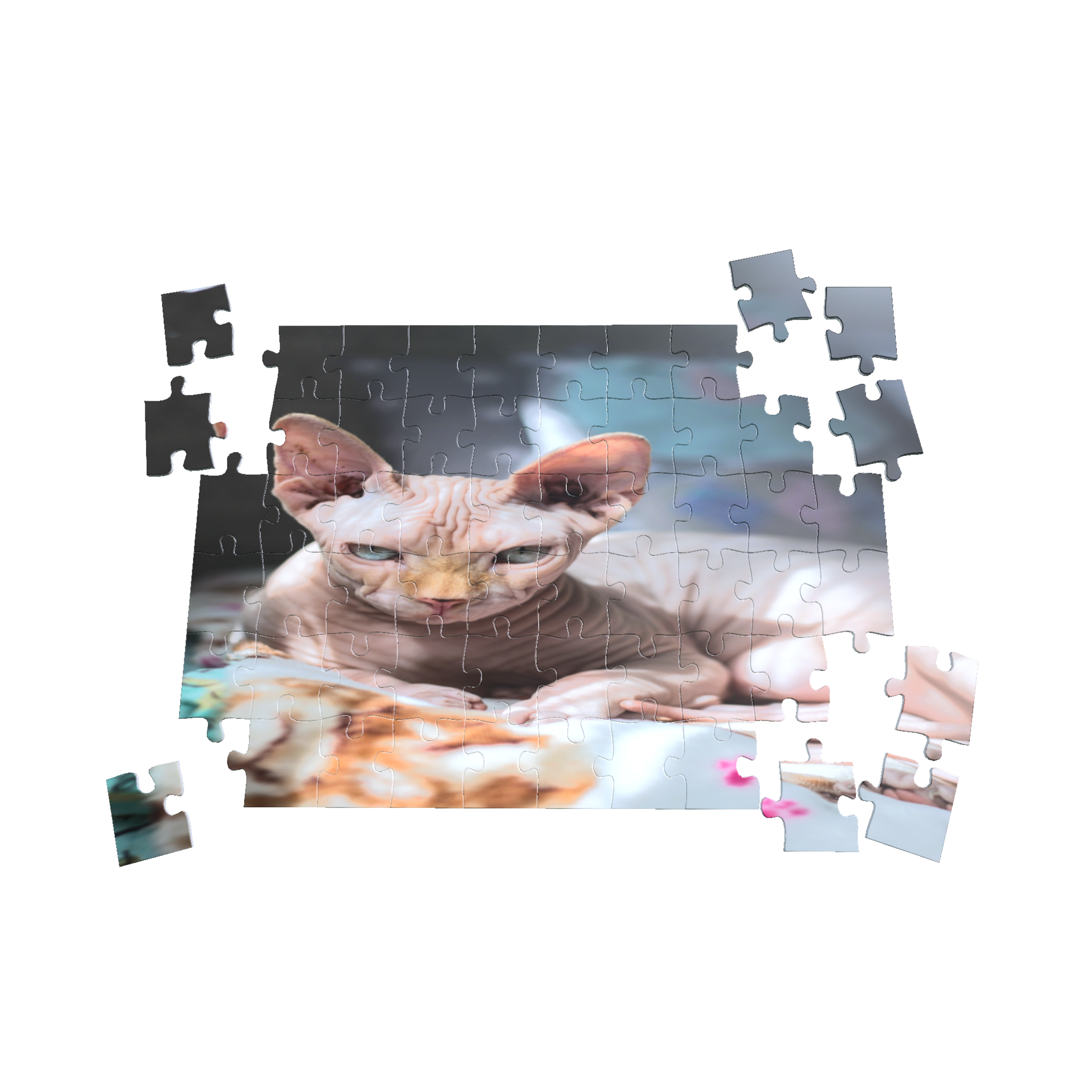 Puzzles (Rompecabezas)